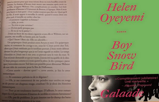 Page 31 : Boy, Snow, Bird – Helen Oyeyemi