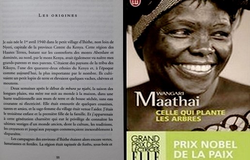 Incipit : Celle qui plante les arbres de Wangari Maathai