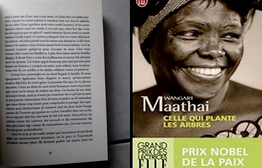Page 31 : Celle qui plante les arbres de Wangari Maathai