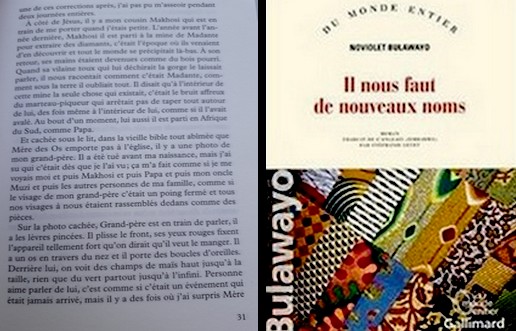 Page 31 : Il nous faut de nouveaux noms de Noviolet Bulawayo