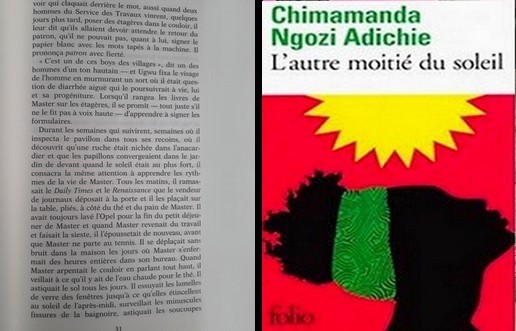 Page 31 : L’autre moitié du soleil de Chimamanda Ngozi Adichie