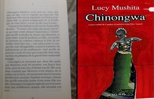Incipit Chinongwa de Lucy Mushita