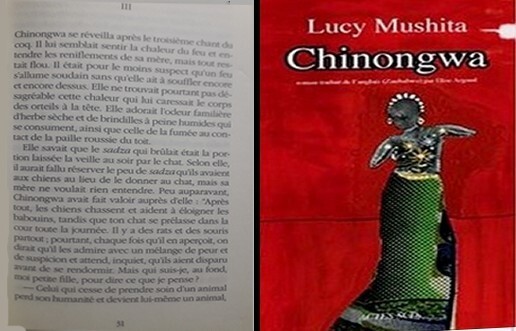 Page 31 : Chinongwa de Lucy Mushita